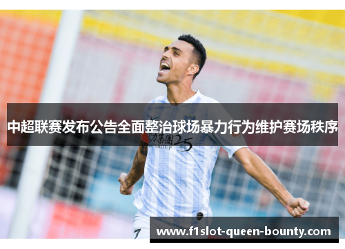 中超联赛发布公告全面整治球场暴力行为维护赛场秩序 中超联赛发布公告全面整治球场暴力行为维护赛场秩序